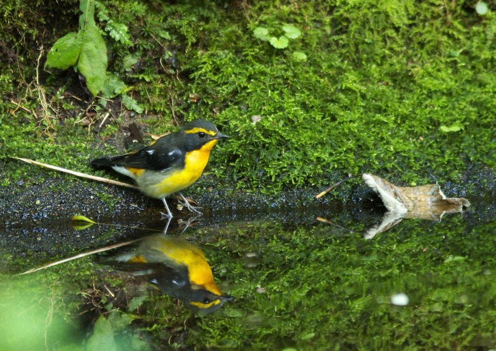 ホテル 休暇村支笏湖 千歳市 エクステリア 写真